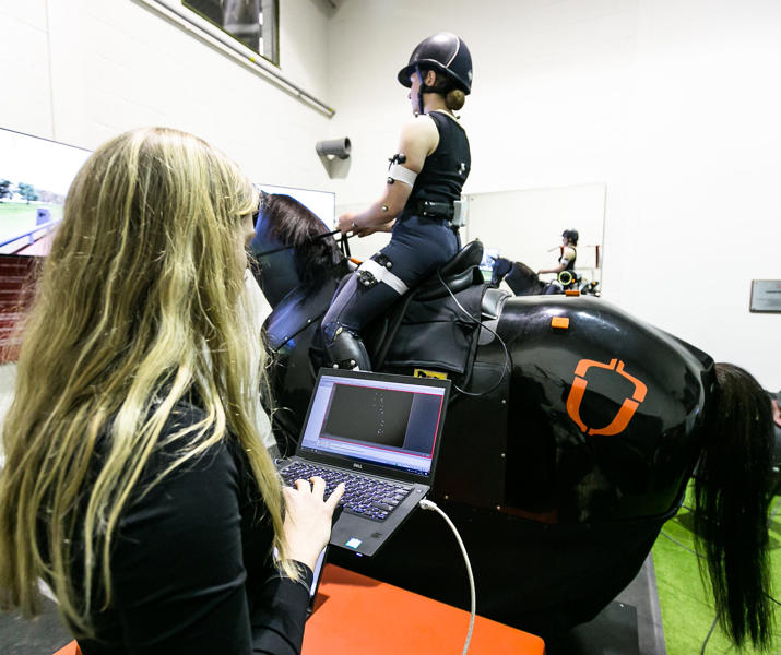 Rider Assessment On Horse Simulator