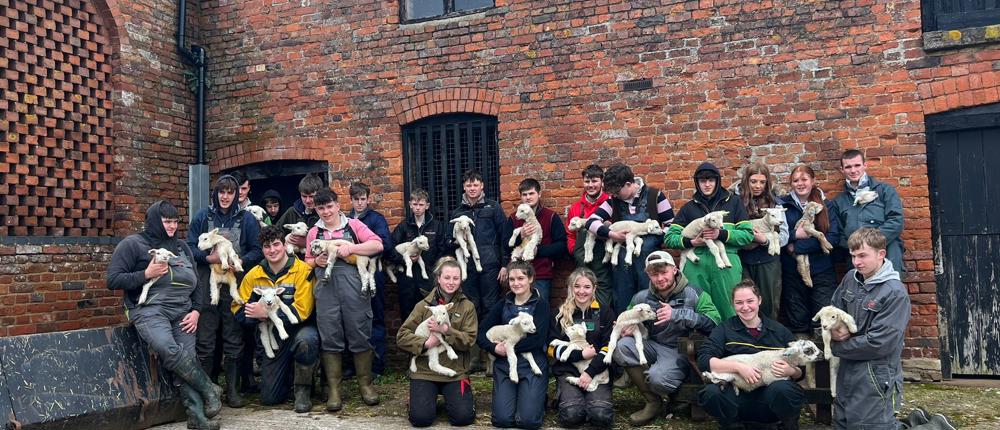 Students With Lambs