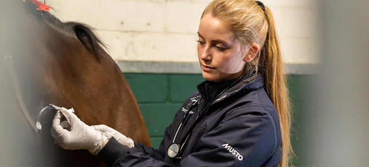 Advanced Equine Veterinary Nursing Critical Care
