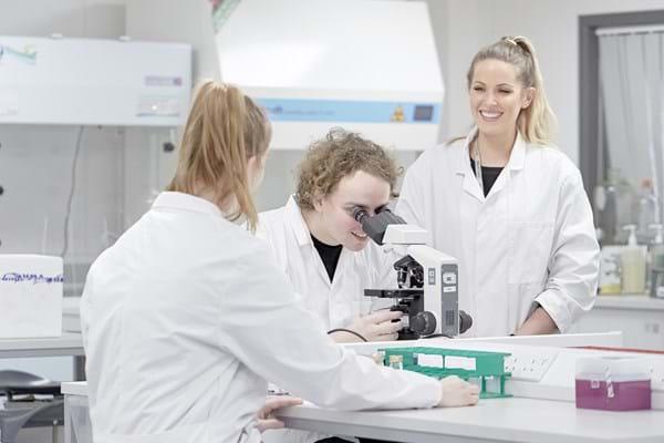 Labs