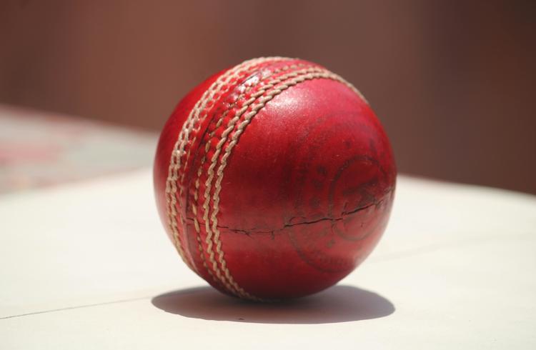 Cricket Ball