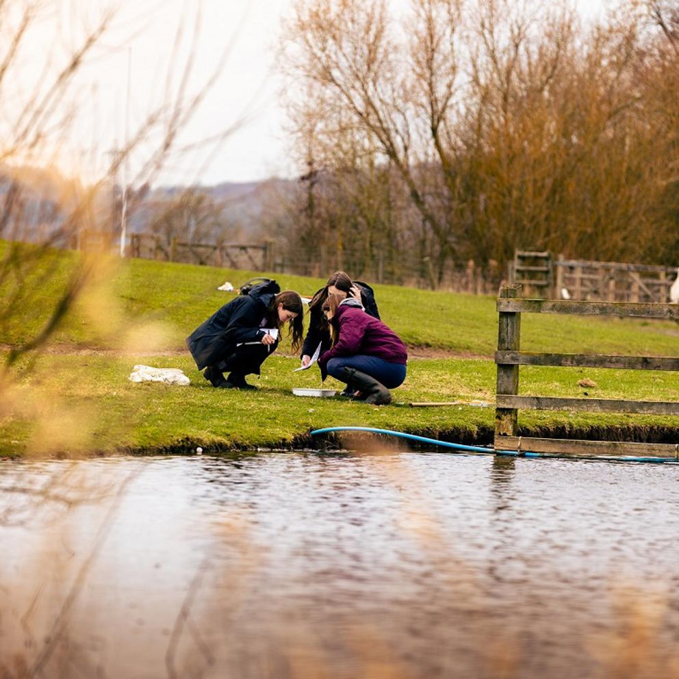 Bsc Hons Biological Sciences