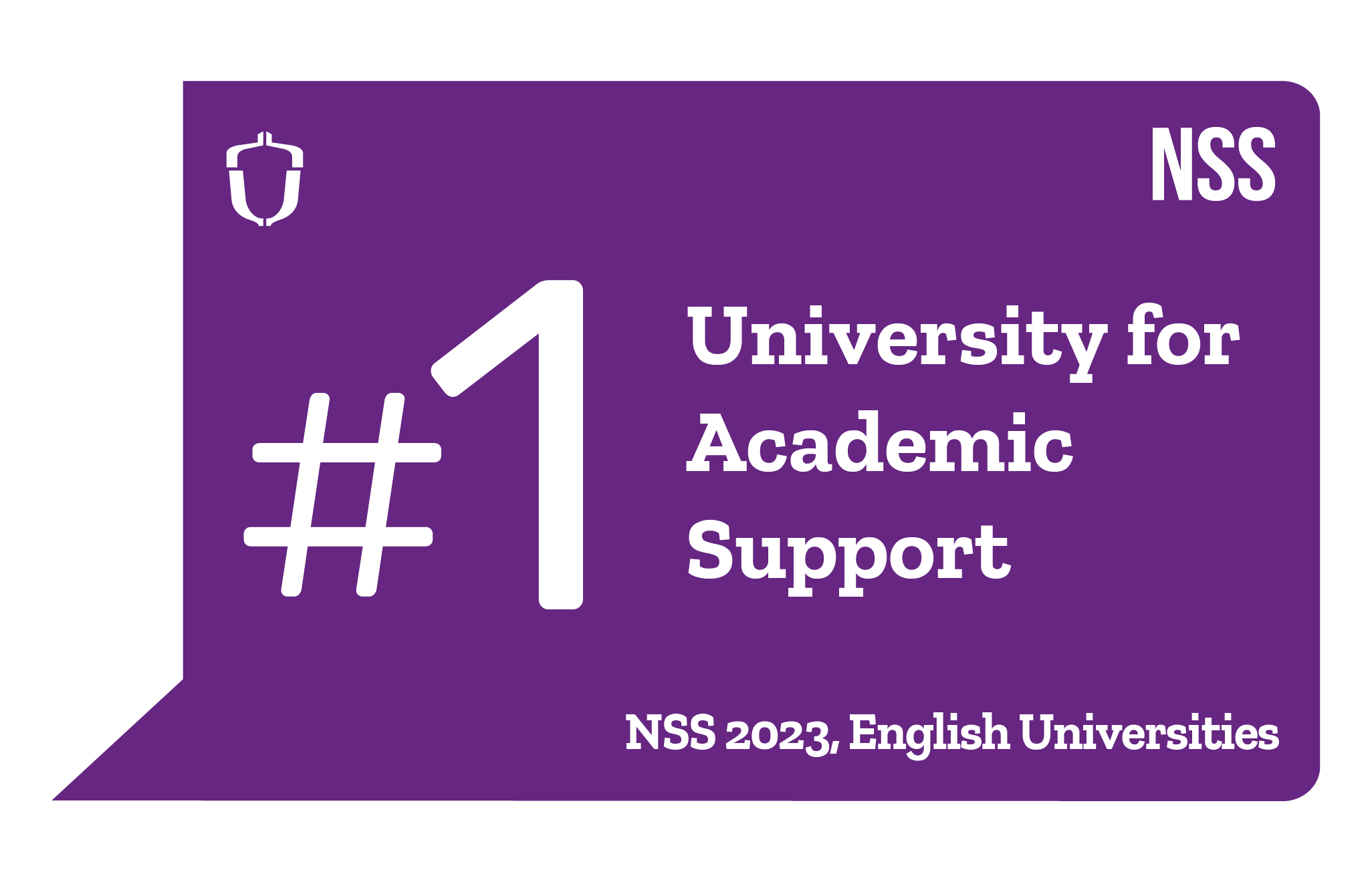 NSS 2023 Academic Support