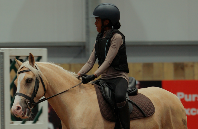 Palamino Pony And Rider