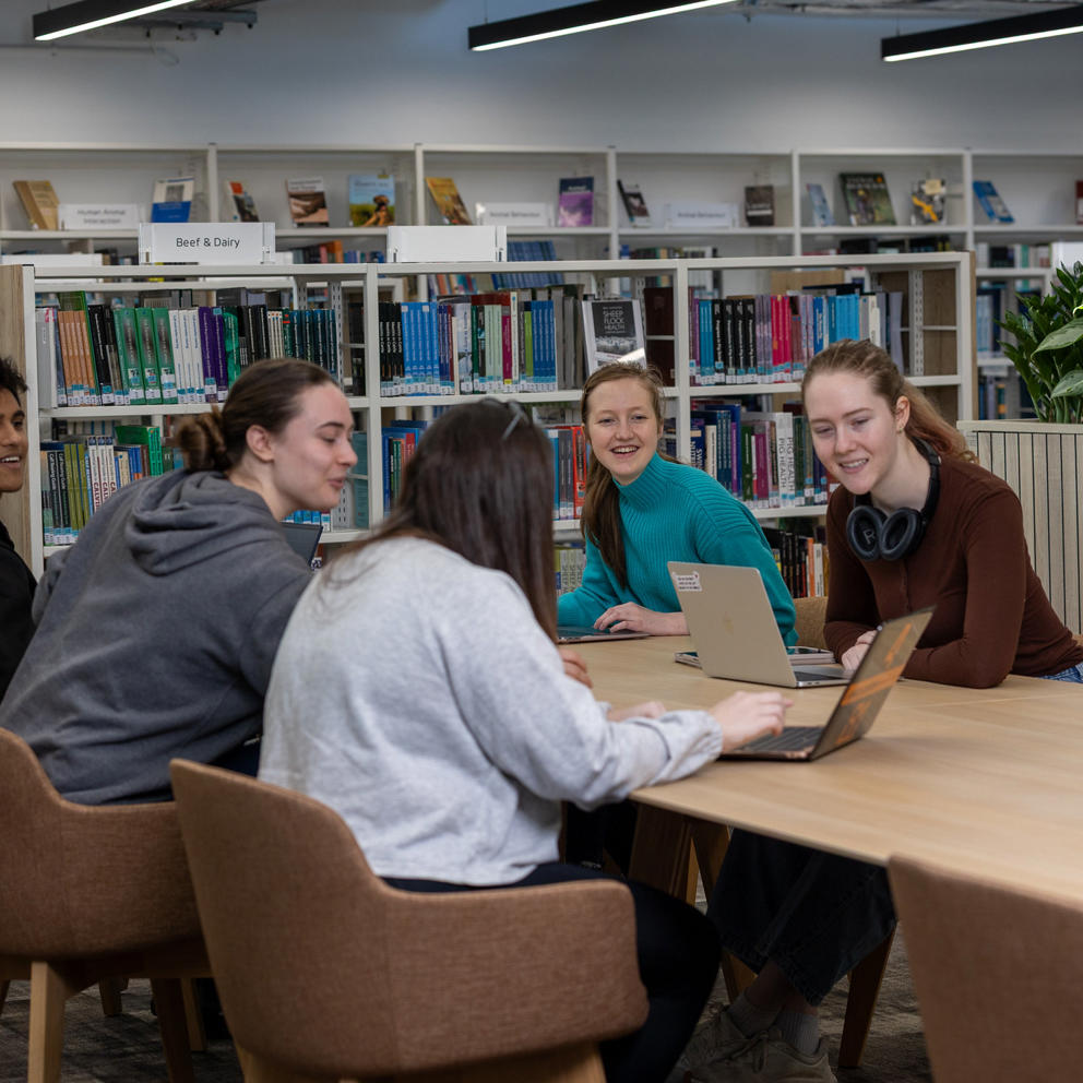 Group Of Students Working In ULH