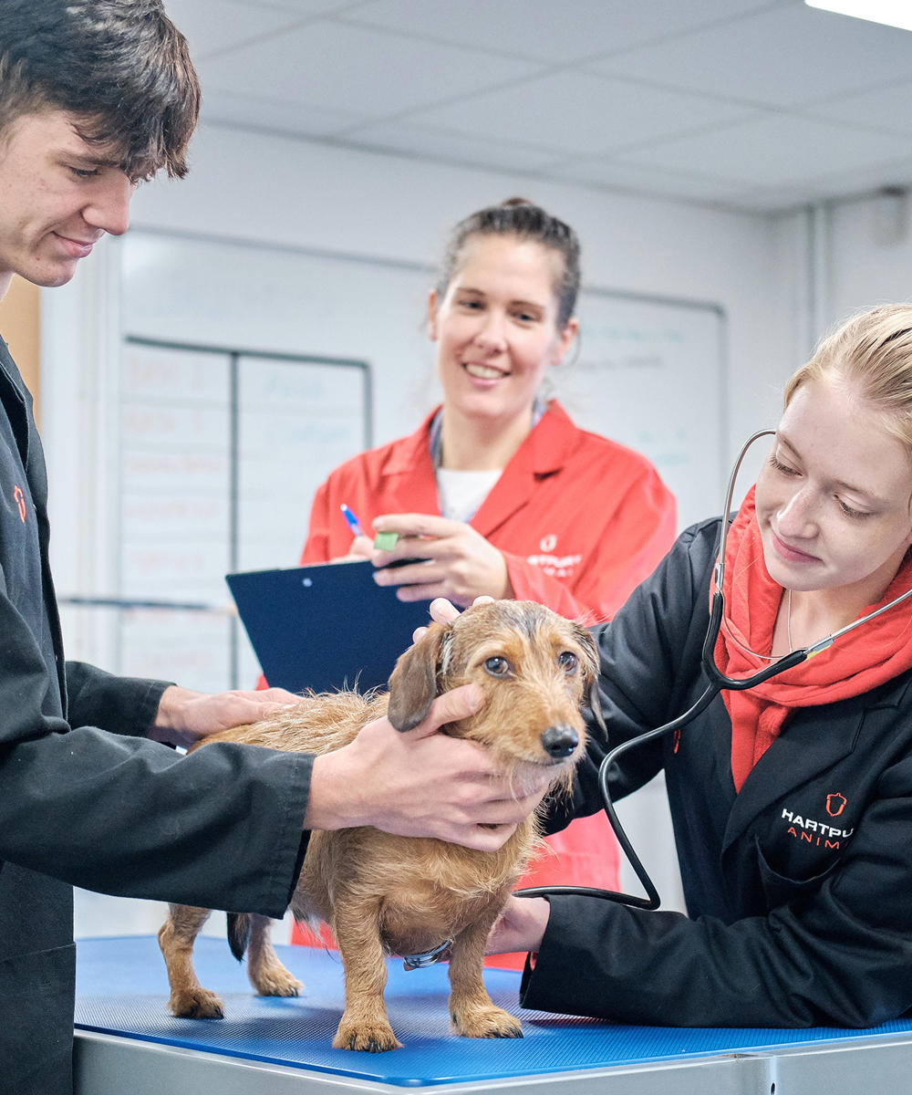 Hartpury College Animal Management Extended Diploma
