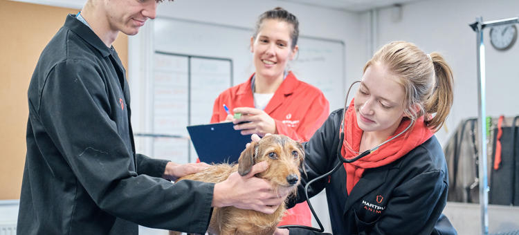 Hartpury College Animal Management Extended Diploma