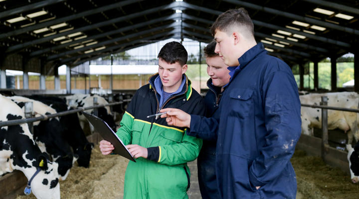Level 2 Diploma Agriculture