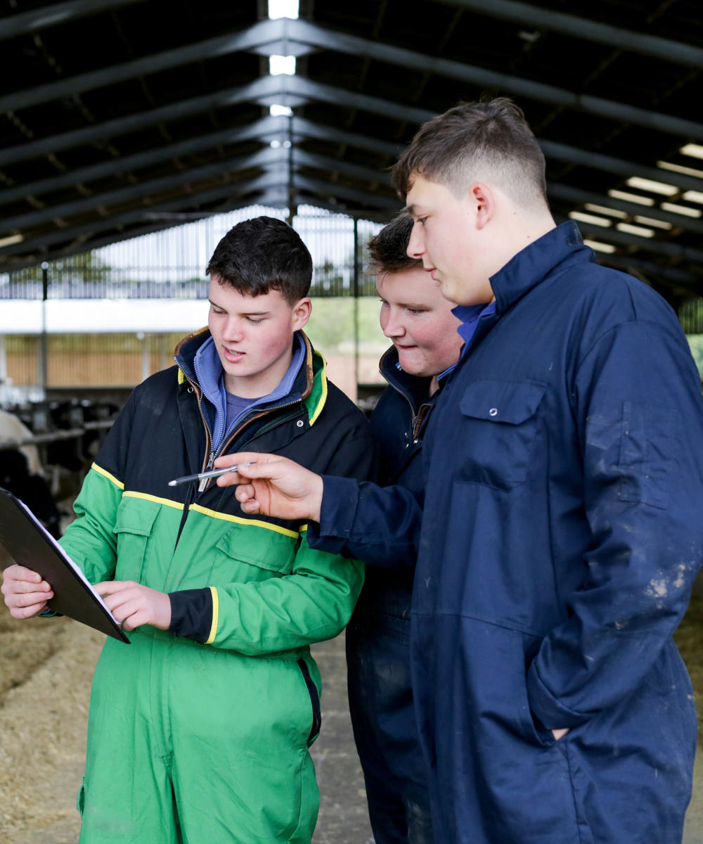 Level 2 Diploma Agriculture
