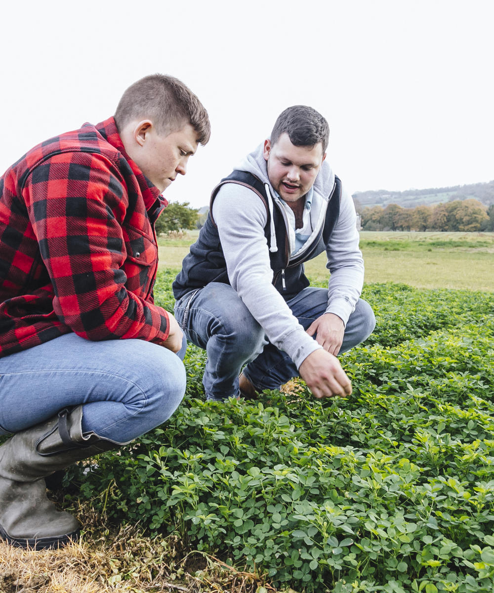 27777957437 946541B609 O