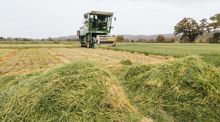 Agriculture Combine Harvester