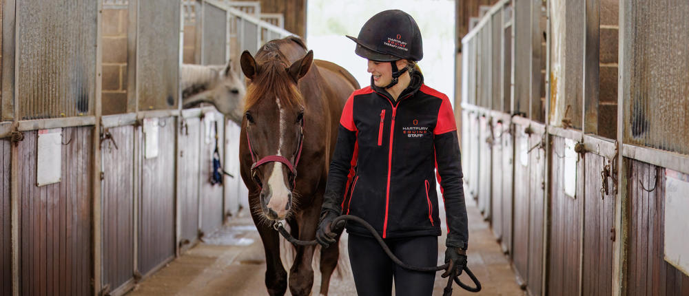 Horse And Rider At Hartpury Stables