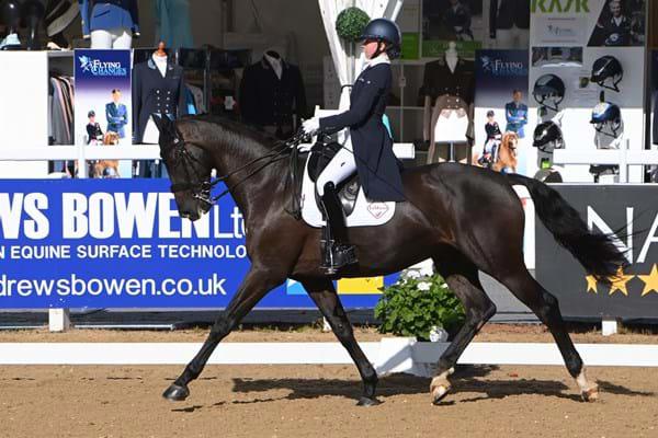 FEI-Dressage