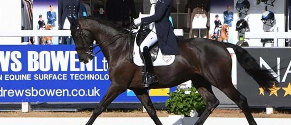 FEI-Dressage