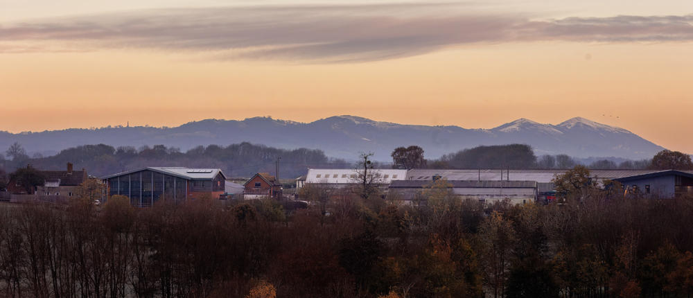 Biodiversity Event Landscape