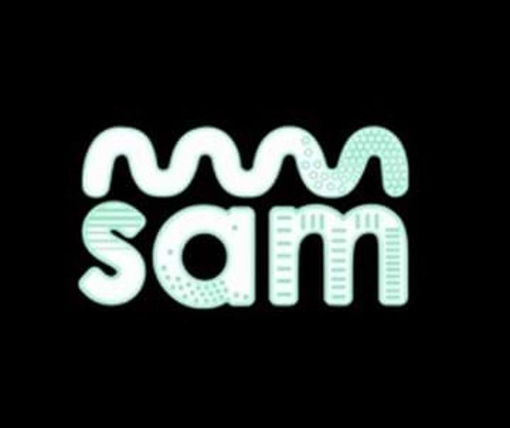 Samboards Logo2