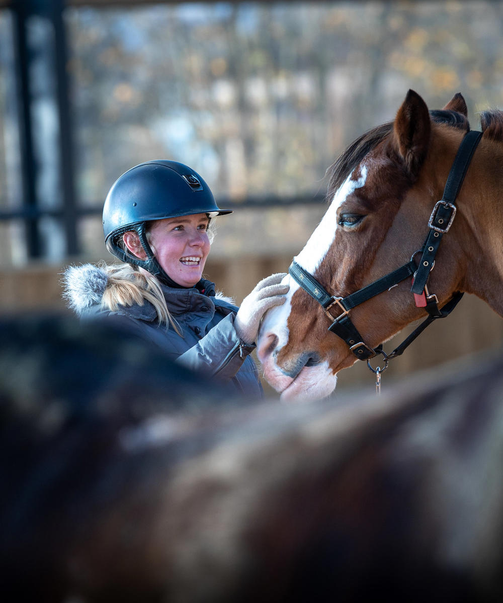 Postgraduate Certificate Equine Behaviour And Welfare