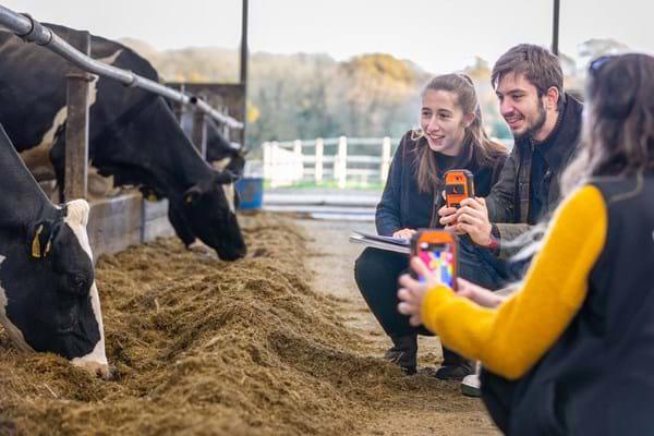 Agriculture-Students-Cows
