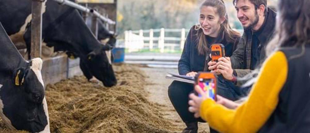 Agriculture-Students-Cows