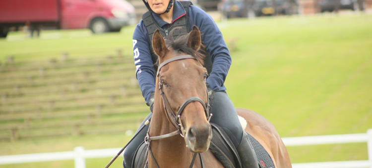 Bsc Hons Equestrian Sports Coaching