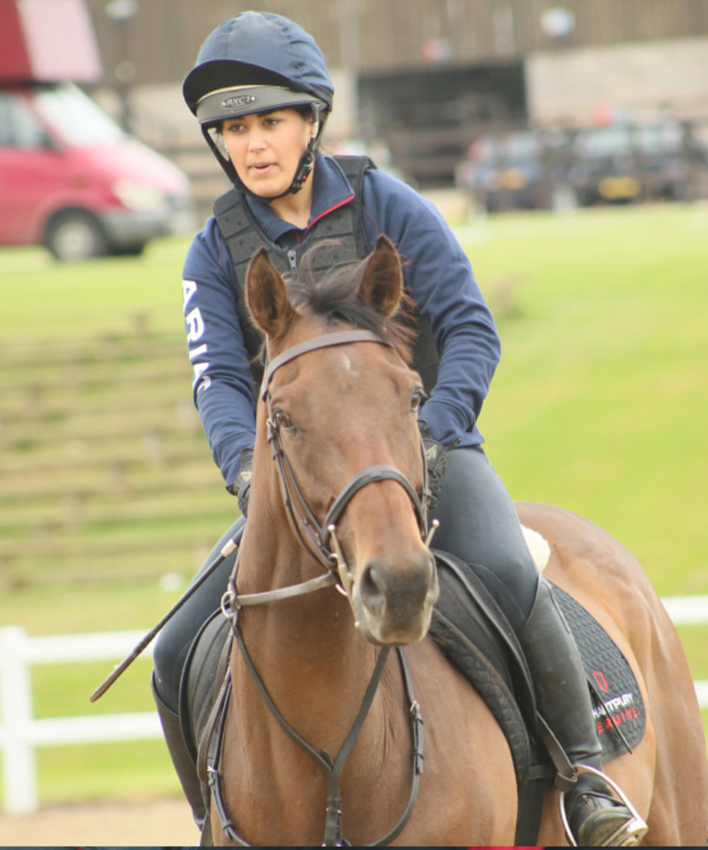 Bsc Hons Equestrian Sports Coaching