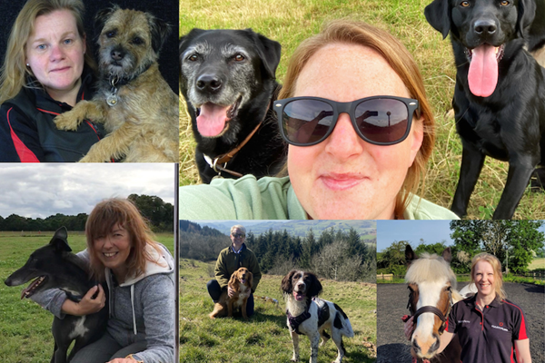 Vet-Nursing-Team