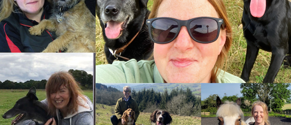 Vet-Nursing-Team
