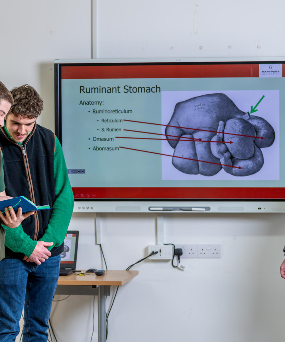 51859484133 9Ec3f09cd2 O