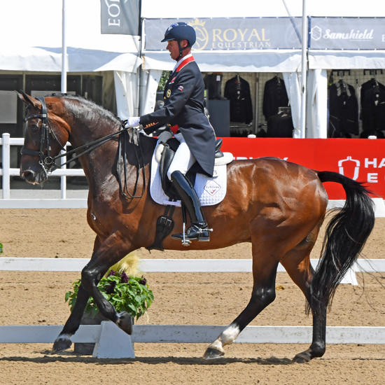 Carl Hester Competing In The International Arena