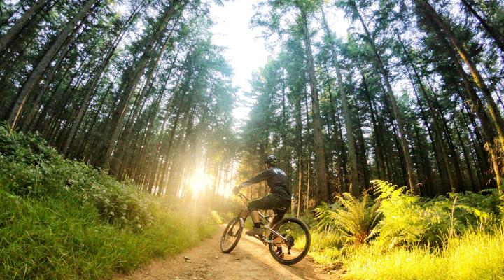 Forest Of Dean Mountain Biking
