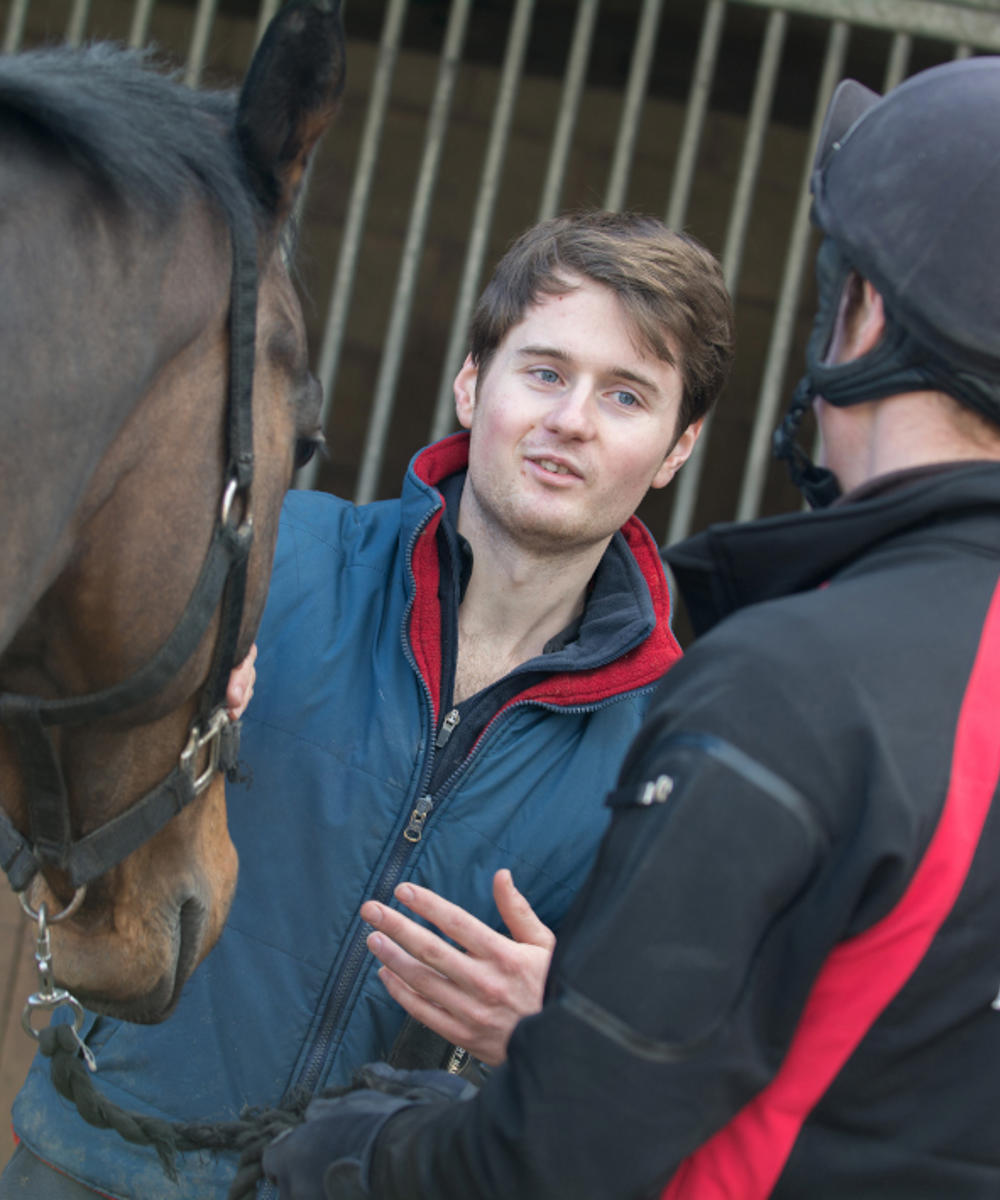 Bsc Hons Equine Behaviour And Welfare