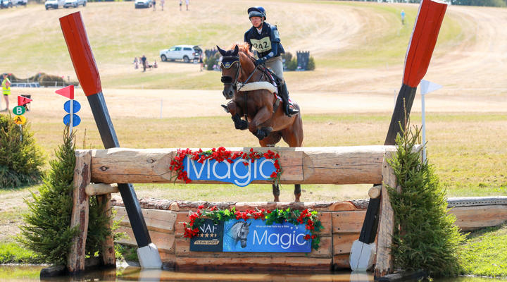 Chestnut Horse Jumping Into The Water
