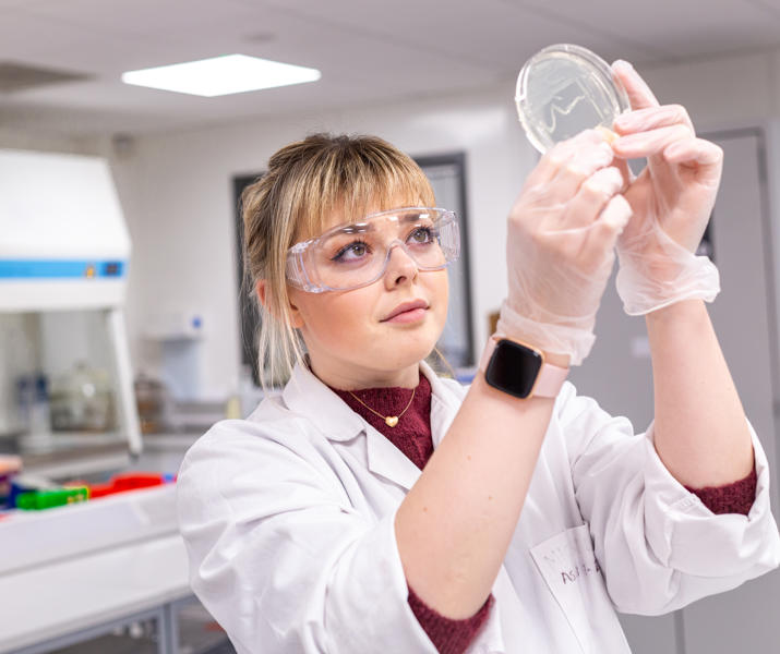 52296510548 8C8a2bc4ae O (1)