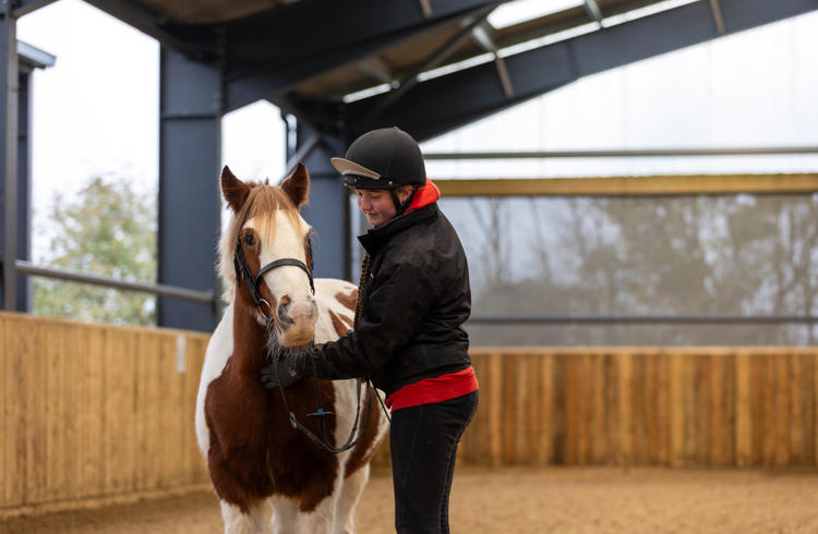 Brown And White Horse And Handler