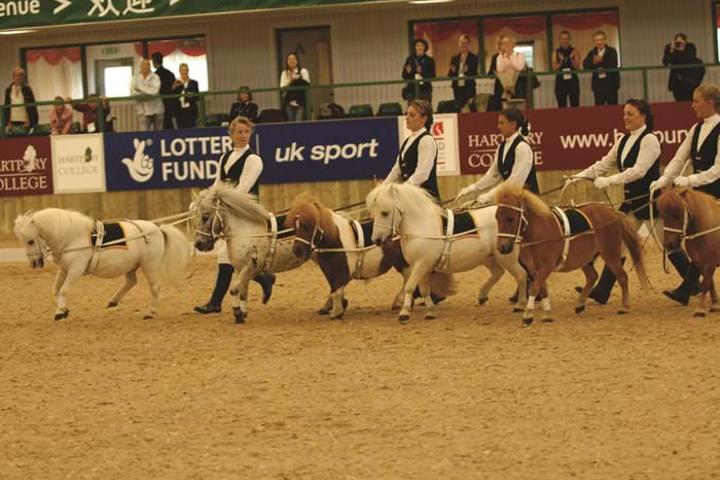 2007 Equine Arena
