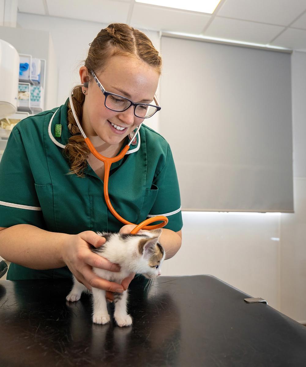 Bsc Hons Veterinary Nursing