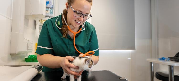 Bsc Hons Veterinary Nursing