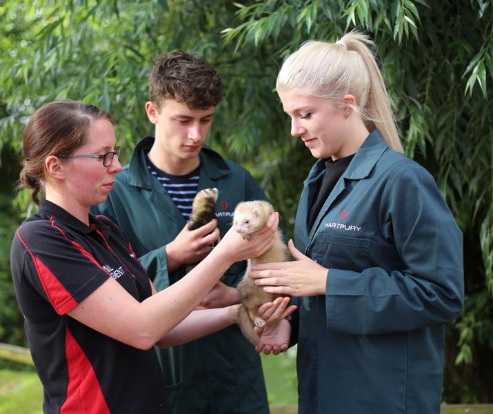 College Animal Students handling ferrets