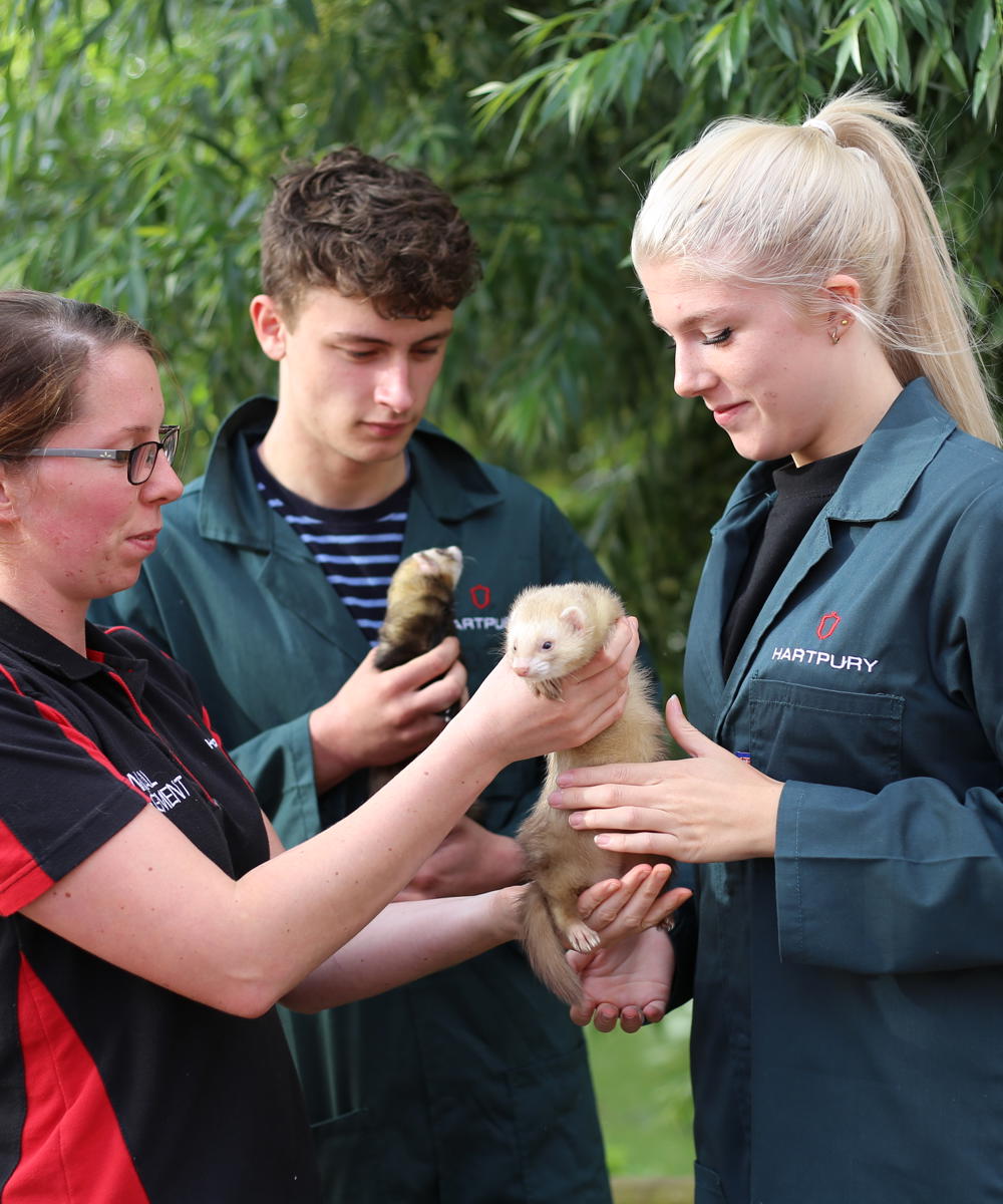 Level 1 Diploma Animal Care | Hartpury College