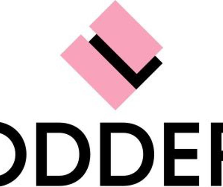 Lodders Logo Rgb Resized