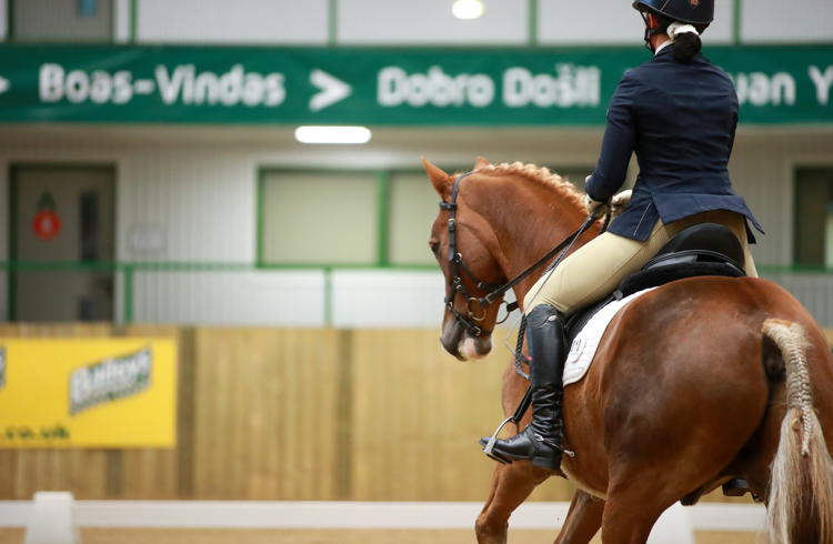 Unaffiliated Dressage