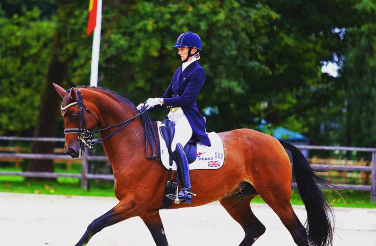 Dressage Training clinic with Stef Eardley