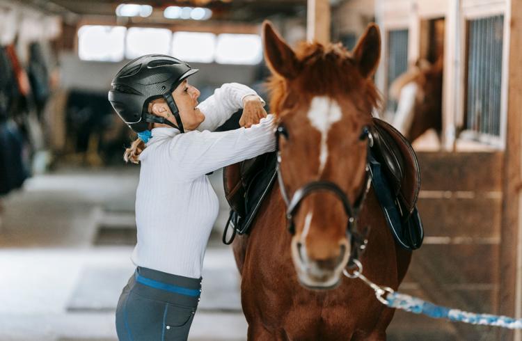 Lady Tacking Up A Horse