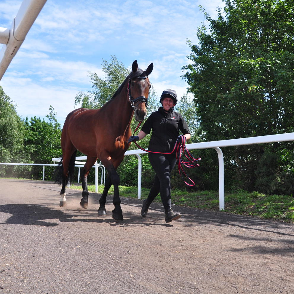 Student Leading Horse In Arena