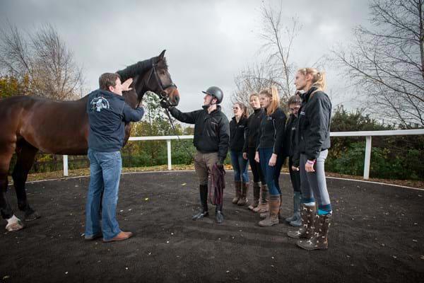 Equine Therapy