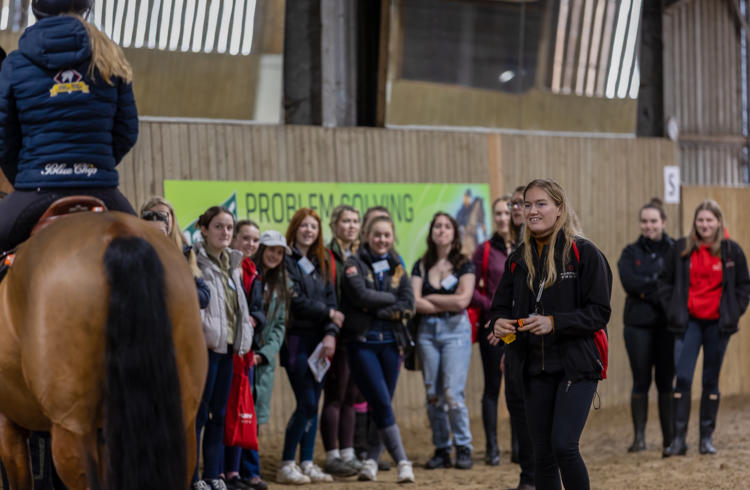 Equine Demonstration Open Day
