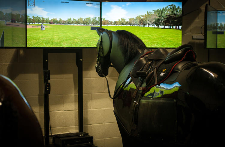 Equine Simulator At Hartpury