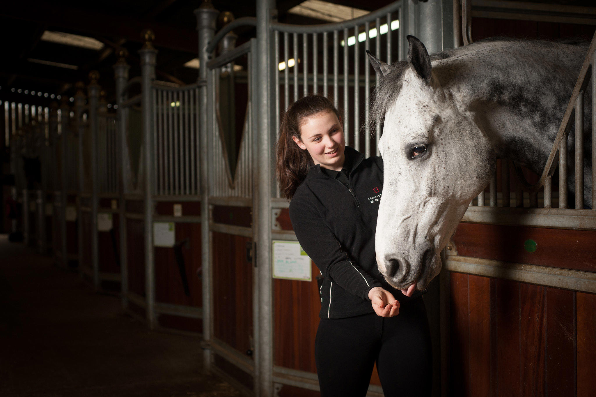 MSci Equine Science Hartpury University