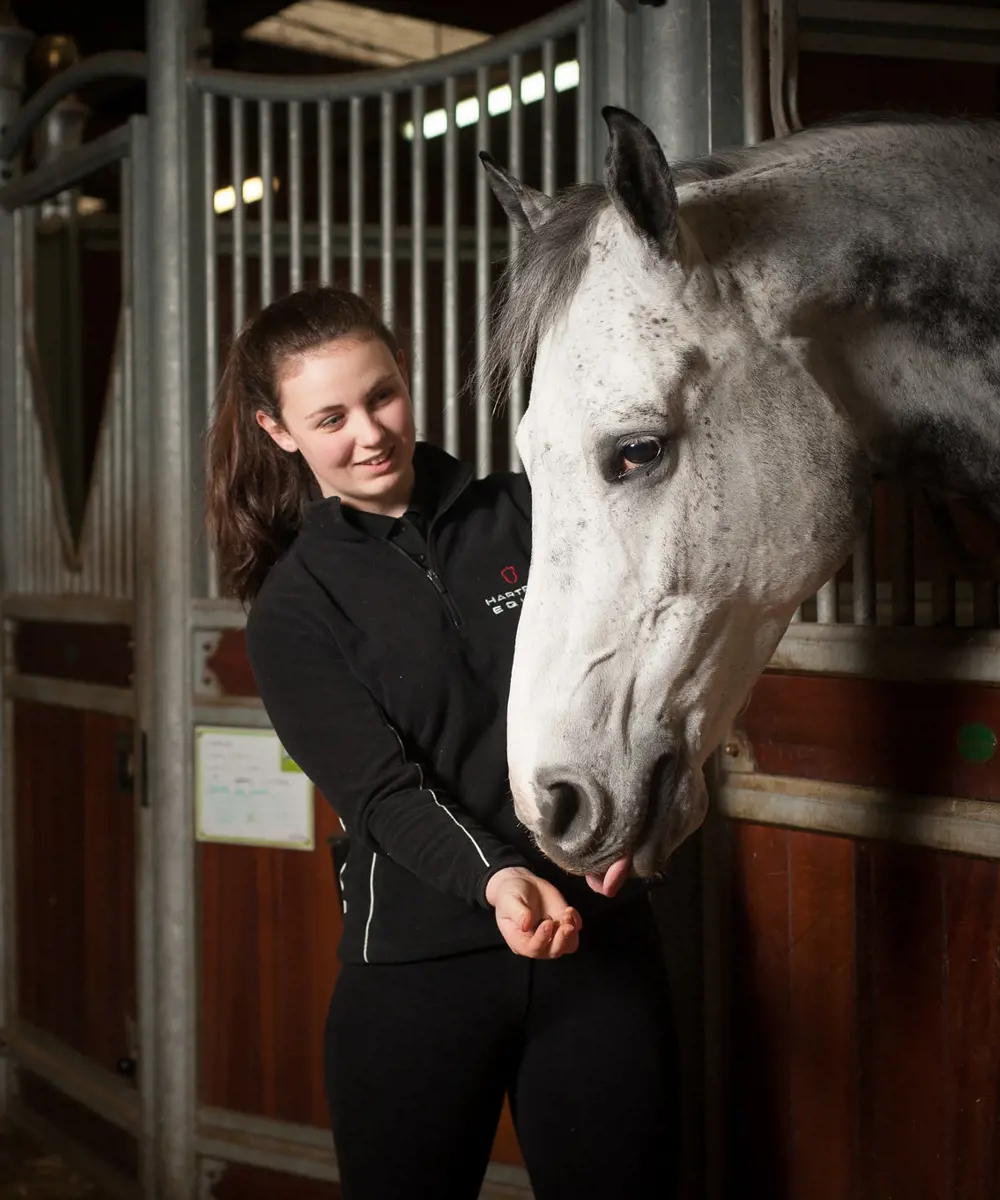 Student And Horse In Equine Yard