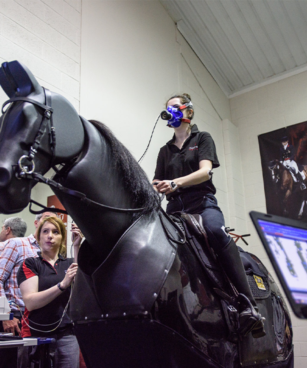 Bsc Hons Equestrian Sports Science